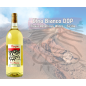 Etna Bianco - Flavia Rebellious Wines SICILY