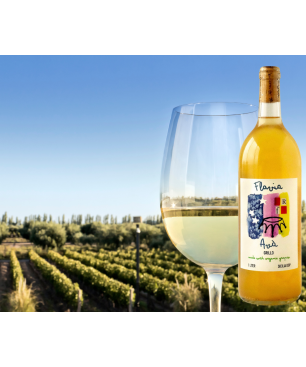 Avà Grillo – Flavia Rebellious Wines SICILIA