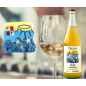 Allè Catarratto Zibibbo – Flavia Rebellious Wines SICILIA