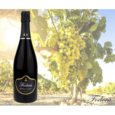 Bollicine Siciliane Metodo Classico Grillo 2016