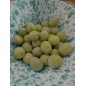 copy of Sicilian Green Olives for Aperitif Tastetobe - Vacuum Packed - 500g