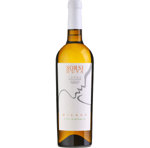 Sorsi d’uva bianco BIO Siciliano