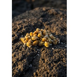 Capperi di Pantelleria al sale marino — TASTETOBE| 150g