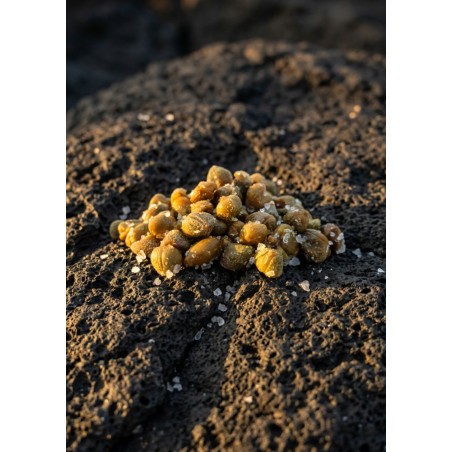Capperi di Pantelleria al sale marino — TASTETOBE| 150g